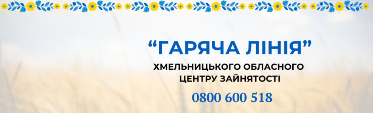 image-20250219124508-1